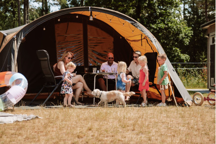 Manege bij Camping Samoza in het bos op de Veluwe VMP090